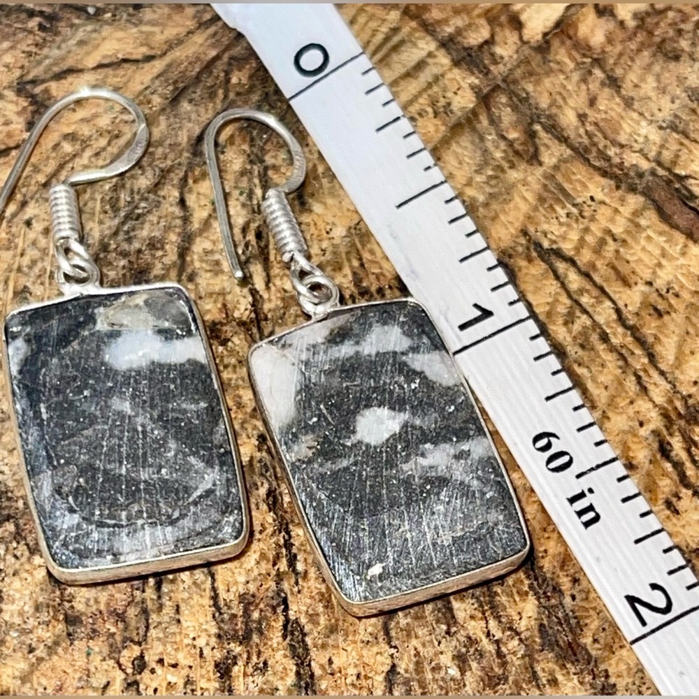 White Buffalo Turquoise Earrings 1 7/8” - Picture 4 of 7